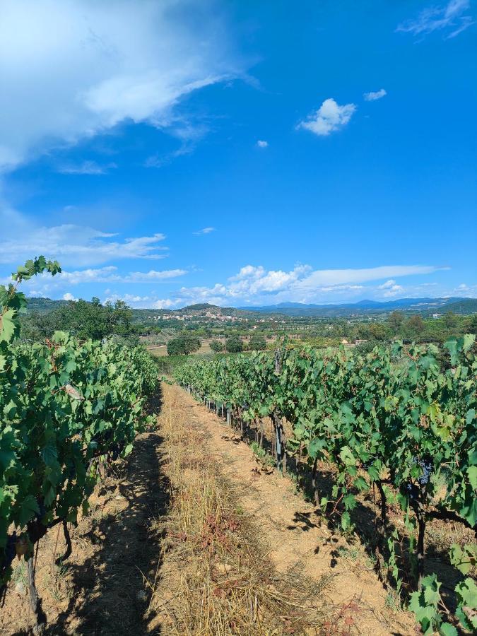Agriturismo Colle Vento Suvereto Luaran gambar