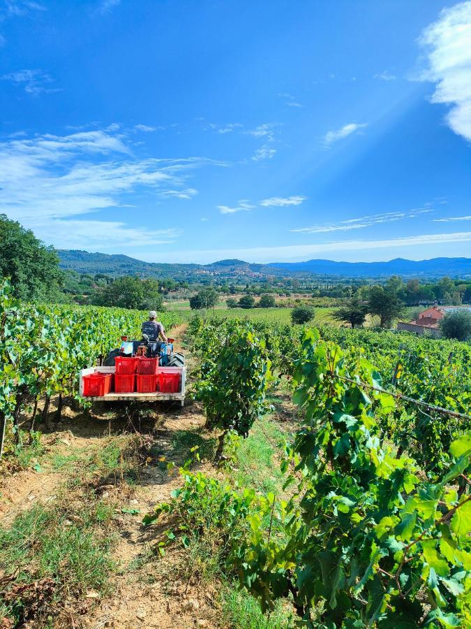 Agriturismo Colle Vento Suvereto Luaran gambar